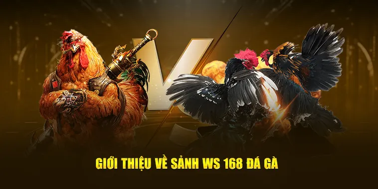 Trở Thành Cao Thủ Đá Gà WS168 B52 Club Với Chiến Thuật Bất Bại