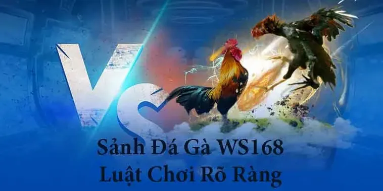 Trở Thành Cao Thủ Đá Gà WS168 B52 Club Với Chiến Thuật Bất Bại