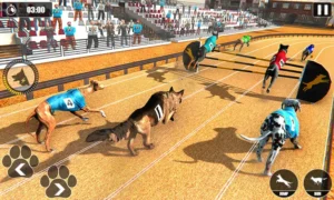 Bí Kíp Chinh Phục Game Nhanh Đua Chó Tại B52 Club Thắng Đậm