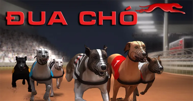 Bí Kíp Chinh Phục Game Nhanh Đua Chó Tại B52 Club Thắng Đậm