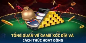Bí Quyết Chơi Xóc Đĩa Tại B52 Club Để Thắng Lớn Dễ Dàng